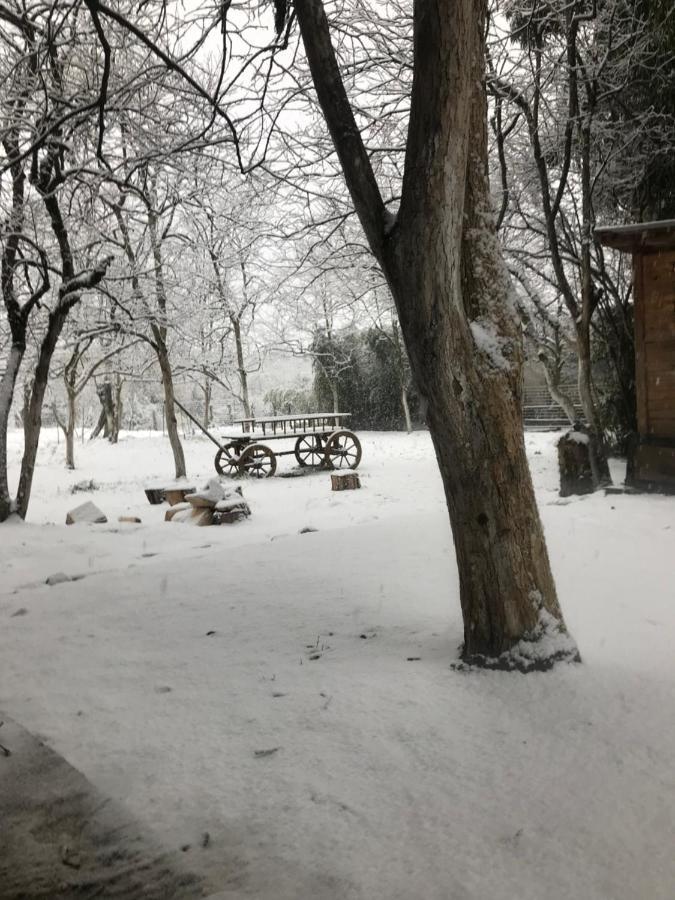 Бунгало Kheivani المظهر الخارجي الصورة